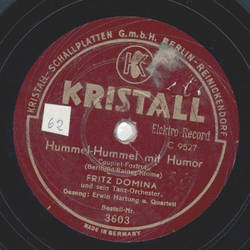 Fritz Domina - Hummel-Hummel mit Humor / Liebe, mein Kind ist keine Snd