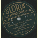 Georg Freundorfer - Zauber der Berge/Die lustigen...