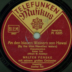 Walter Fenske m. s. groen Orchester - An den blauen Wassern von Hawai