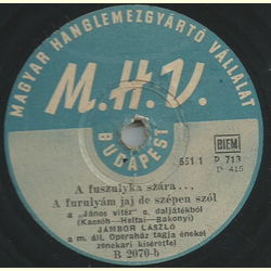 Jambor Lszl - Egy rzsaszl / A fuszulyka szra...
