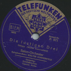 Salon-Orchester: Walter Sommerfeld - Goldhhnchen / Die lustigen Drei