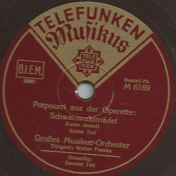 Groes Musikus-Orchester: Walter Fenske - Potpourri aus der Operette: Schwarzwaldmdel