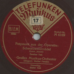 Groes Musikus-Orchester: Walter Fenske - Potpourri aus der Operette: Schwarzwaldmdel