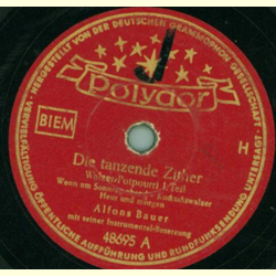 Alfons Bauer mit seiner Instrumental-Besetzung - Die tanzende Zither,
