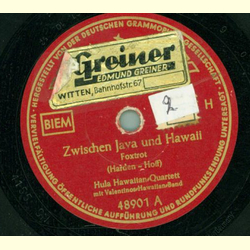 Hula Hawaiian Quartett - Zwischen Java und Hawaii / Steig...