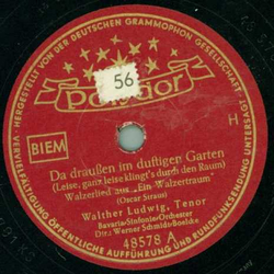 Walther Ludwig - Da draußen im duftigen Garten / Grüß mir mein Wien