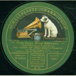 Paul Godwin Orchester - Yearning Just for You / Pretty Puppy