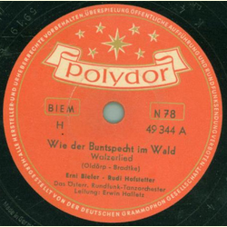 Erni Bieler und Rudi Hofstetter - Wie der Buntspecht im...