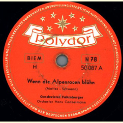 Geschwister Fahrnberger - Wenn die Alpenrosen blhn / Der...