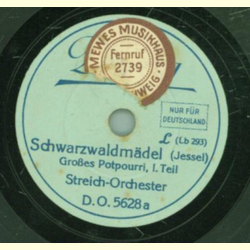 Großes Streich-Orchester - Schwarzwaldmädel, Großes Potpourri