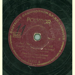 Oskar Joost - Auf dem Dach der Welt / Drei  Zypressen am...