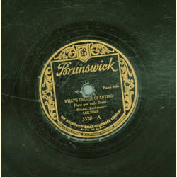 Lee Sims - Whats the use of crying? / Pal of my lonesome...