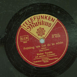 Walter Fenske Orchester - Gschichten aus dem Wiener Wald...