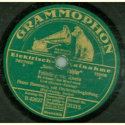 Franz Baumann - Frhling am Rhein