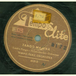 Tempo-Tanz-Orchester - Recuerdoo / Tango Marina