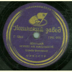 Platte mit kyrillischer Schrift - Matr. Nr. 5344 / Matr....