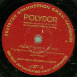 Die lustigen Akkordeon Mdel - Der Onkel Jonathan / Auf der grnen Wiese