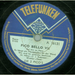 Die 2 Pico`s - Waltz Medley 2 / Pico Bello ( Es hngt ein Pferdehalfter an der Wand, Wir sind fr einander bestimmt )