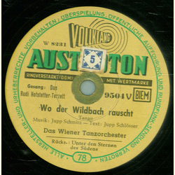 Das Rudi Hofstetter Terzett - Unter den Sternen des Sdens / Wo der Wildbach rauscht