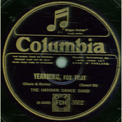 The Hannan Dance Band - Moonlight and Roses / Yearning