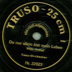 Tanz Orchester - Du hast mir heimlich die Liebe ins Haus gebracht / Du nur allein bist mein Leben