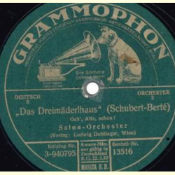 Salon Orchester - Das Dreimädelhaus ( Geh`Alte, schau ! ) / Das Dreimädelhaus ( Unter dem Fliederbaum)