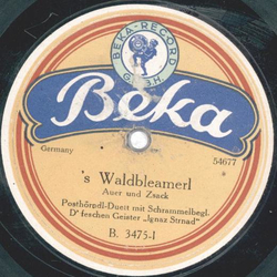 Auer und Zsak - S Waldbleamerl / A Hand voll Stoana