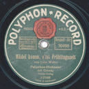 Polyphon-Orchester - Mädel komm, sist Frühlingszeit /...