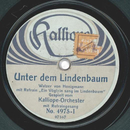 Kalliope-Orchester - Unter dem Lindenbaum / Nein nein...