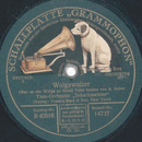 Tanz-Orchester Schachmeister - Wolgawalzer / Die M�dels...