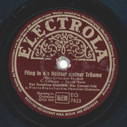 Sunshine Quartett, Cornel Trio - Flieg in die Heimat...