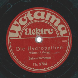 Salon Orchester - Die Hydropathen / Die Hochzeit der Winde