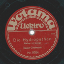 Salon Orchester - Die Hydropathen / Die Hochzeit der Winde