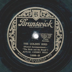 Actual Canary Solo - The Golden Bird