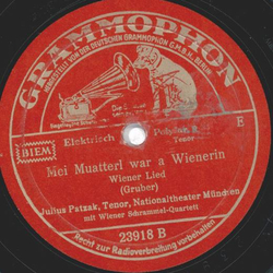 Julius Patzak , Wiener Schrammel Quartett - Das hat ka Goethe g`schrieb`n / Mei Mutterl war a Wienerin