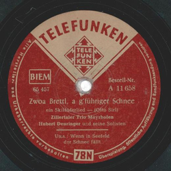 Zillertaler Trio Mayrhhofen, Hubert Deuringer und seine...