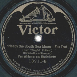 Paul Whiteman - Its Up To You ( Jn ai Marre ! ) / `Neath The South Sea Moon