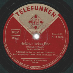 Adalbert Lutter , Golgowsky Quartett - Holdrioh liebes Echo / Kleine weie Mwe