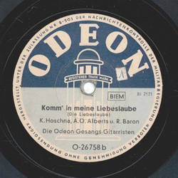 Die Odeon-Gesangs-Gitarristen - Das Bienenhaus / Komm in meine Liebeslaube