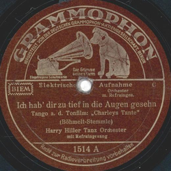 Harry Hiller - Ich hab dir zu tief in die Augen gesehen /...