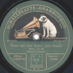 Salon Orchester - Geschichten aus dem Wiener Wald / Rosen aus dem Sden