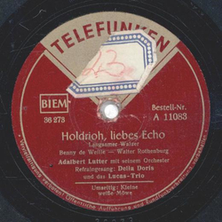 Adalbert Lutter , Golgowsky Quartett - Holdrioh liebes Echo / Kleine weie Mwe