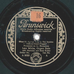 Lew White - When It´s Spring Time In The Rockies / Down...