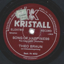 Theo Braun - Streichholz-Wachtparade / Song of Happiness