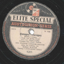 Catharine Essex - South America take it away / Managua