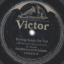 Paul Whiteman and his Orchestra - Burning Sands / Falling