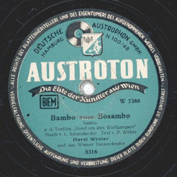 Horst Winter und das Wiener Tanzorchester - Manana / Bambo von Bosambo