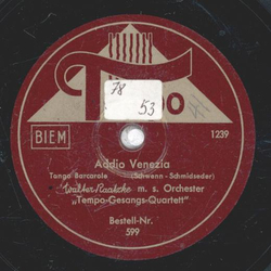 Tempo Gesangs Quartett - Addio Venezia / Straensnger von Nepal