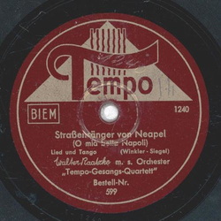 Tempo Gesangs Quartett - Addio Venezia / Straensnger von Nepal