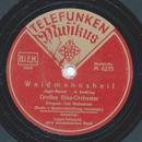Groes Blas-Orchester: Carl Woitschach - Waidmannsheil /...